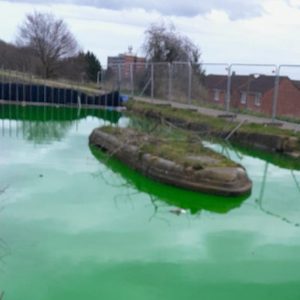 Birmingham Canal’s Mystifying Green Transformation Explained
