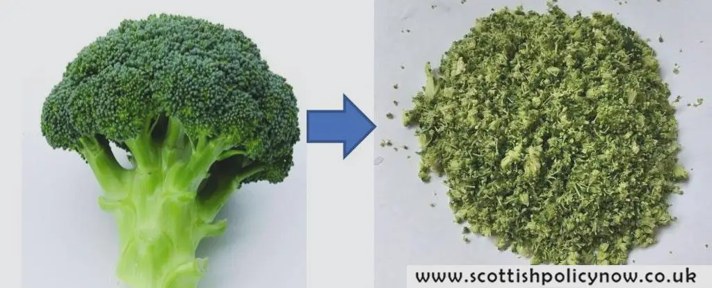 “Discover the Healthier Method to Cook Broccoli Revealed by Scientists, But Beware of a Hidden Catch!”