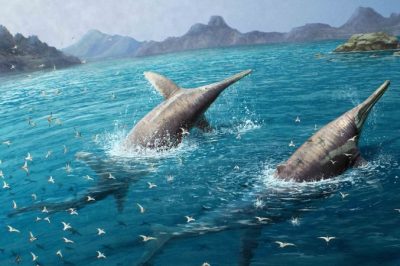 11-Year-Old Discovers Fossil of Ancient Creature Bigger Than a Blue Whale: Unearthing History