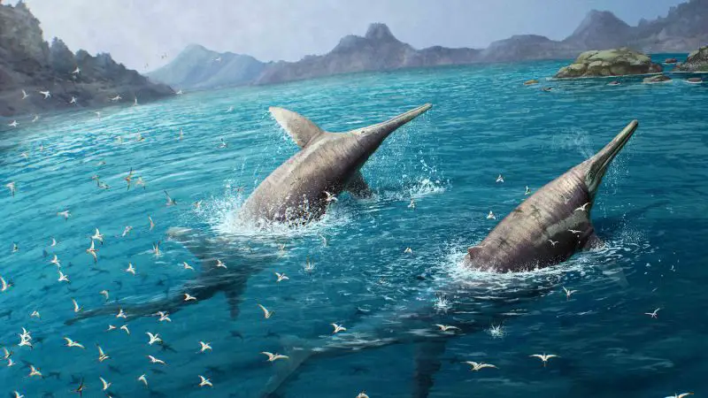 11-Year-Old Discovers Fossil of Ancient Creature Bigger Than a Blue Whale: Unearthing History