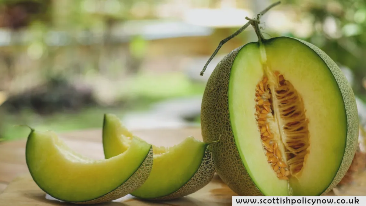 Discover the Health Benefits and Delicious Taste of Honeydew Melon